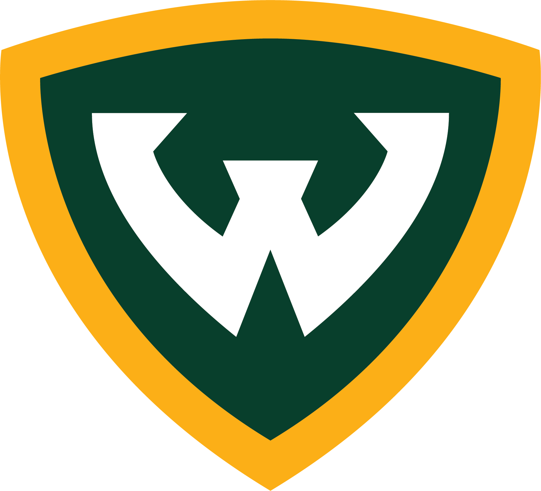 Buy Wayne Warriors Football Tickets Easy Ways to Get Seats